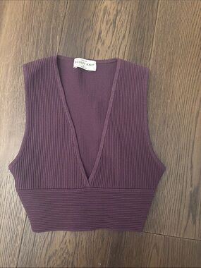 Aritzia Babaton Sculpt Knit V-Neck Crop Top — Deep Plum